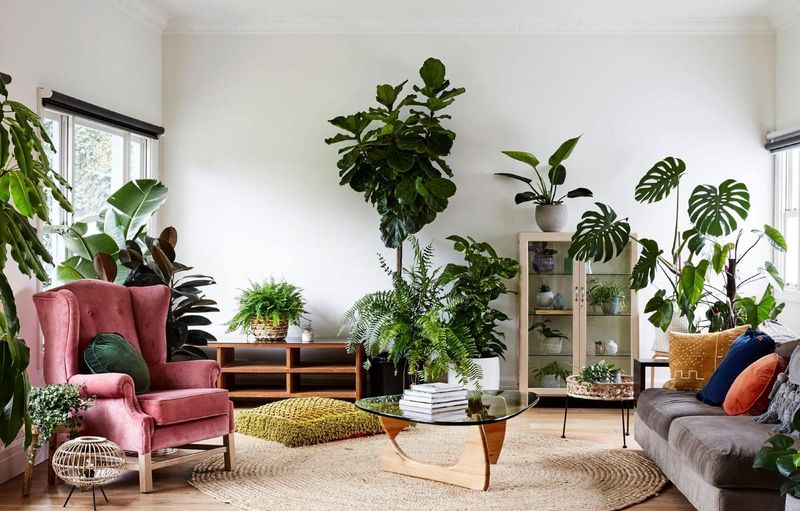 15 Decor Fixes For Rooms That Feel 'Off' - Decor Hint Incorporate Plants for Freshness