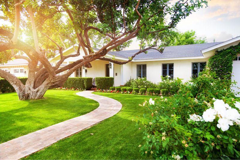 11 Backyard Features Devaluing Your Home And 11 That Will Add Value - Decor Hint Well-Maintained Lawn And Landscaping