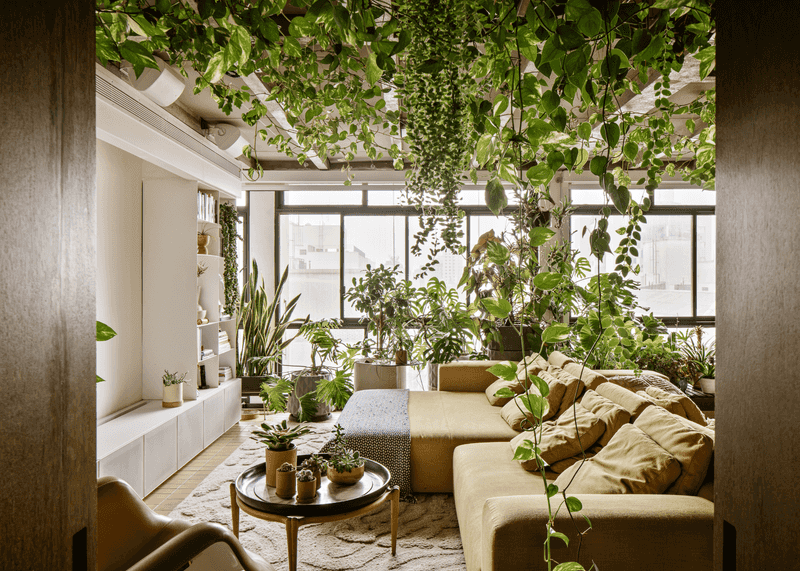 London's Top Designers Reveal The 10 Biggest Design Trends About To Take Over - Decor Hint Biophilic Brilliance