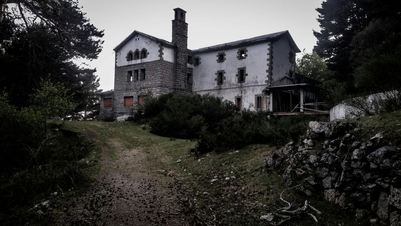 Neglected Lawn