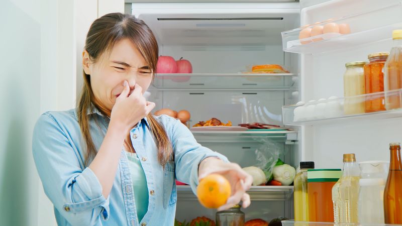 9 Kitchen Icks That Instantly Turn Off Homebuyers And 9 That Immediately Win Them Over - Decor Hint Lingering Food Odors