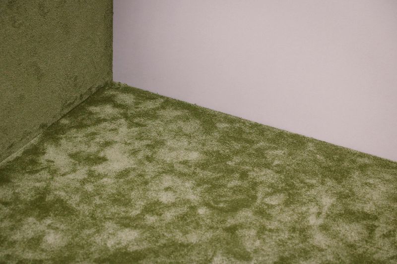 Carpet-Heavy Ranch Homes