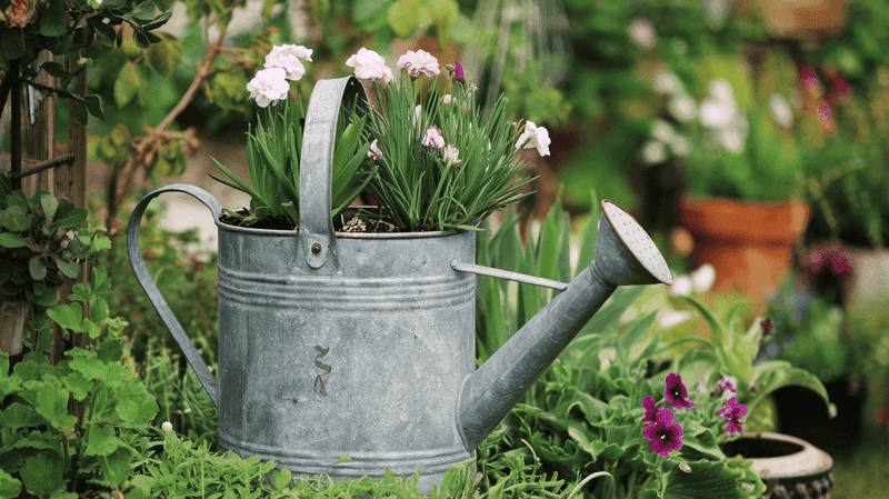 These 20 Garden Decor Ideas Are The Little Details That Will Make The Biggest Difference In Your Outdoor Space - Decor Hint Vintage Watering Can Planters