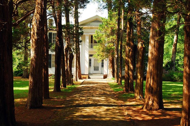 21 Secluded Mansions In Mississippi Featuring Centuries Of Craftsmanship - Decor Hint Mount Holly Plantation — near Lake Washington, MS