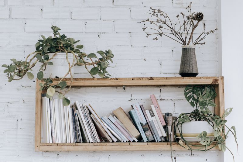 Easy Ways To Refresh Your Home With Plants, Cushions, And Composting - Decor Hint Trailing Plants Transform Boring Shelves