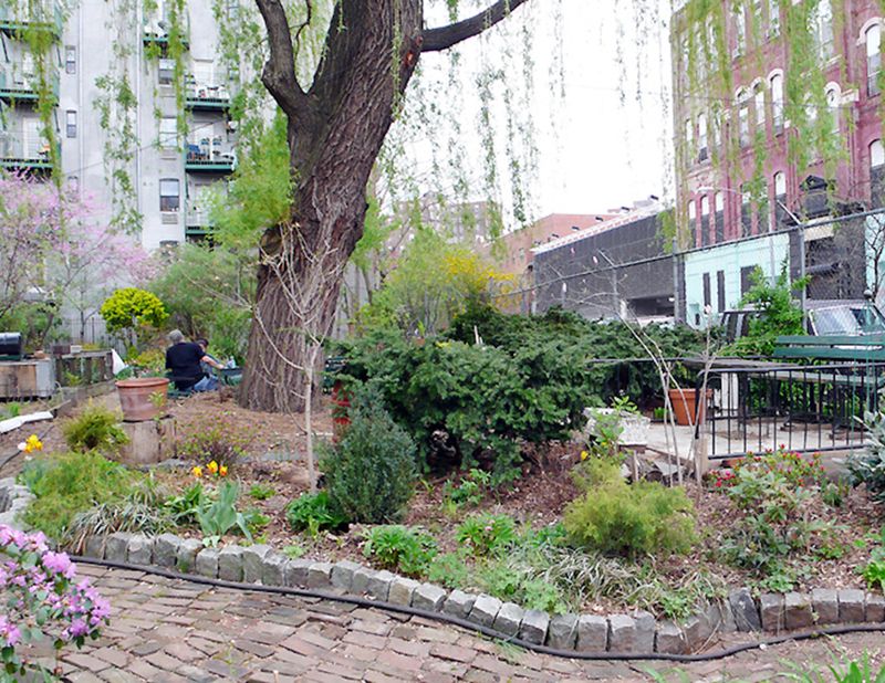 Community Gardens