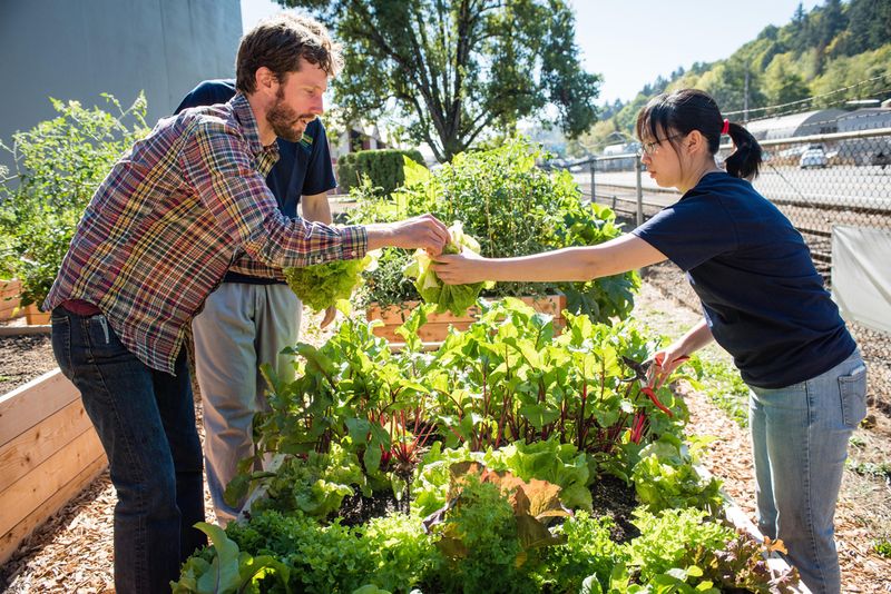 Discover The Outdoor Designs Making Maryland Neighborhoods Feel Like Home - Decor Hint Farm-to-Table Edible Landscapes