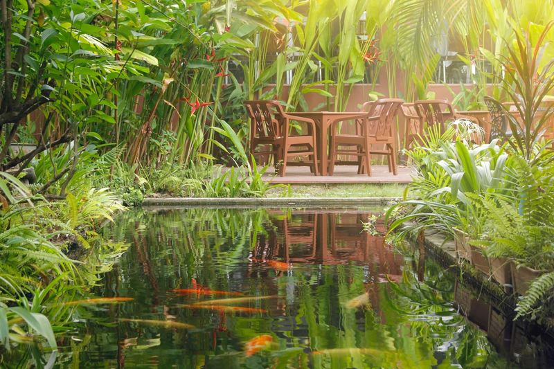 7 Florida Porch And Patio Trends That Scream Relaxation - Decor Hint Tropical Paradise Plantings