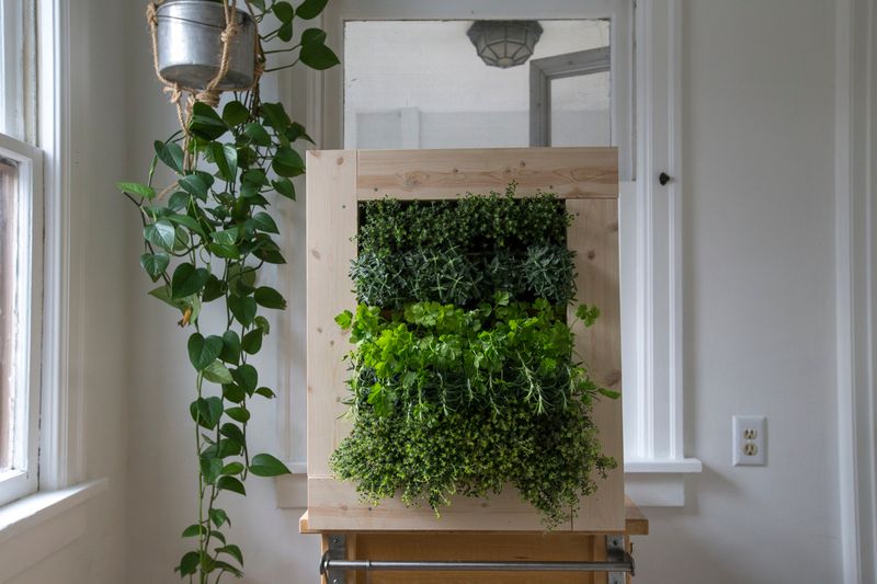 Creating Indoor Herb Gardens Near Kitchen Windows