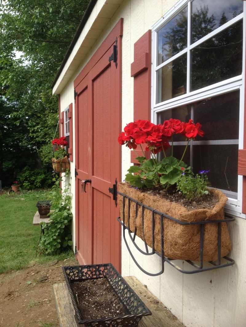 13 Home & Garden Ideas Inspired By The Heart Of Pennsylvania - Decor Hint Window Boxes with Cascading Geraniums