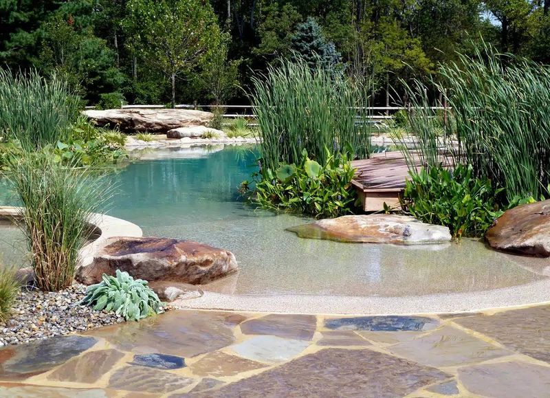 10 Desert-Friendly Exterior Design Ideas Perfect For Miami Homes - Decor Hint Natural Pool Alternatives