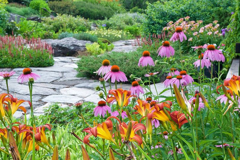 21 Sustainable Front Yard Landscaping Ideas With Rocks And Mulch - Decor Hint Mulched Pollinator Gardens