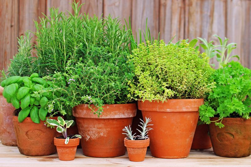 25 French Country Kitchens Designs To Inspire Your Space - Decor Hint Herb Gardens by the Window