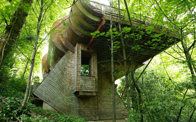 13 Distinctive Homes Built With Nature In Focus - Decor Hint The Wilkinson Residence: Forest Symphony