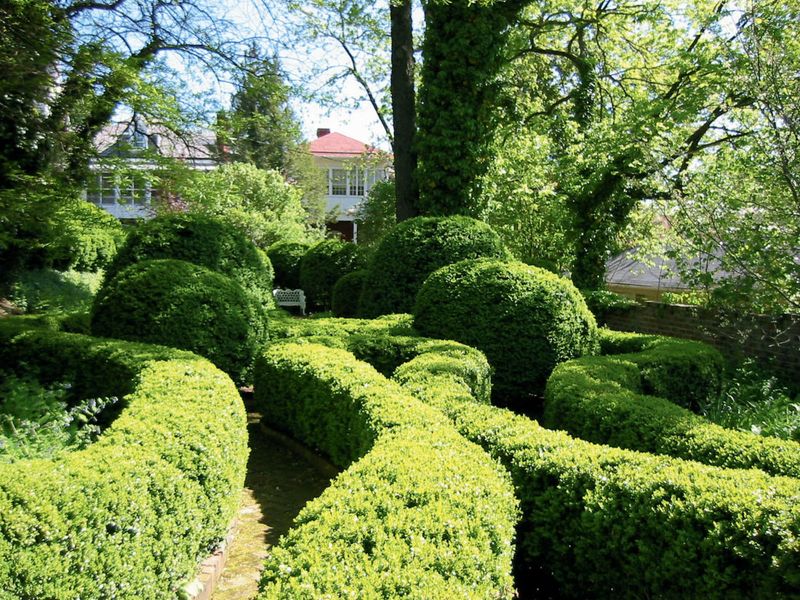 10 Classic Curb Appeal Styles From Historic Washington Streets That Might Not Age Well - Decor Hint Formal Boxwood Parterres