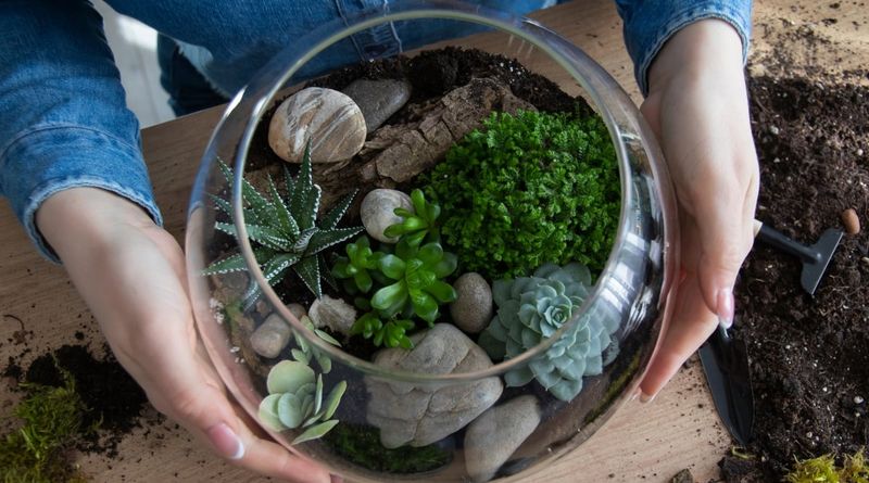25 Awesome Succulent Porch Garden Ideas To Boost Curb Appeal - Decor Hint Succulent Terrariums For Small Porch Spaces