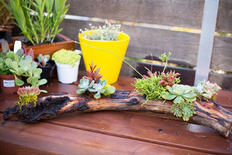 What Rhode Island DIYers Are Doing This Weekend (And You'll Want To Try Too) - Decor Hint Block Island Driftwood Mobiles