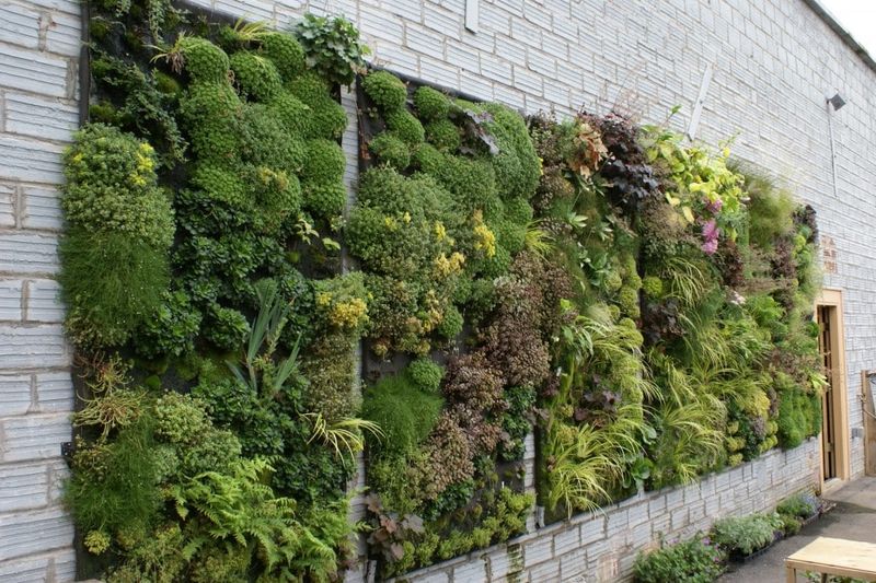 12 Effortlessly Cool Outdoor Spaces You'll Spot All Over California Neighborhoods - Decor Hint Vertical Garden Walls