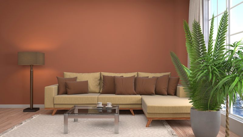 9 Sofa Colors That Should Be Updated In Oklahoma City Homes And Their Timeless Replacements - Decor Hint Black Leather – Camel