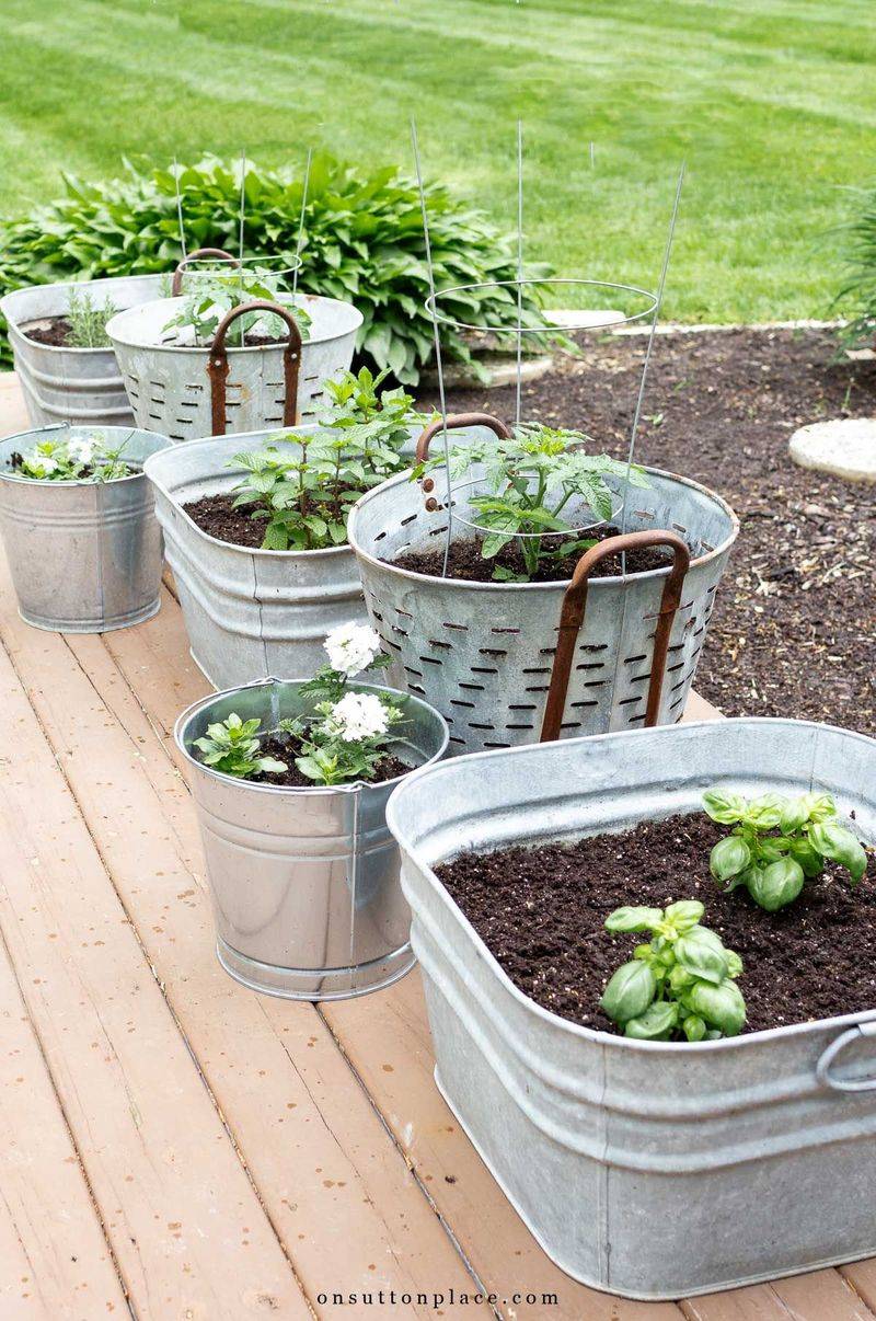 Patio Herb Garden