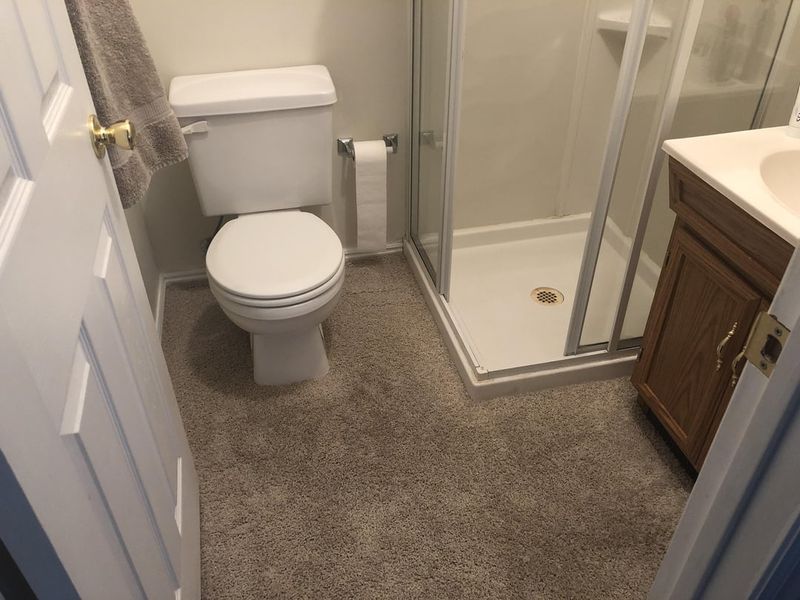 17 Popular Home Additions That Actually Make Buyers Walk Away - Decor Hint Carpet In Bathrooms That Harbors Mold