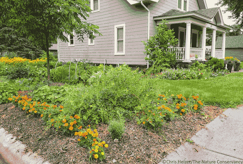 Nebraska's Neighborhoods Are Loving These 10 Outdoor Space Ideas - Decor Hint Prairie-Inspired Native Gardens