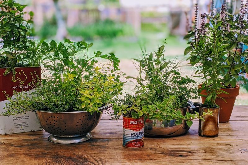 15 Backyard Micro-Oasis Ideas For Small Outdoor Spaces - Decor Hint Potted Herb Gardens
