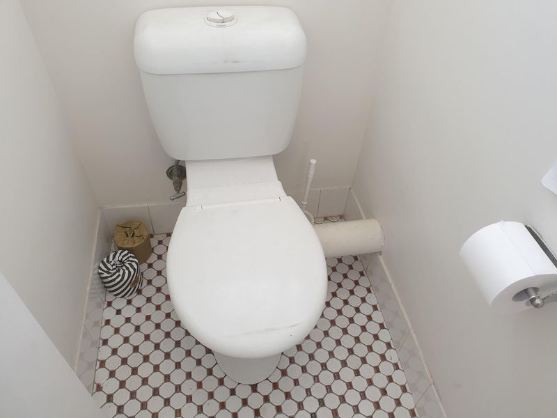 9 Bathroom Features That Are Always Eyesores - Decor Hint Visible Toilet Plumbing