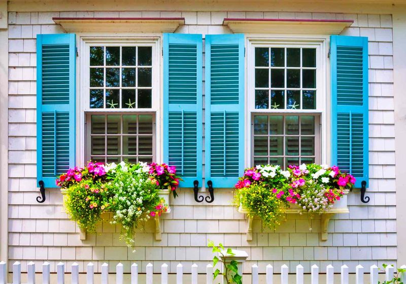 Window Shutters