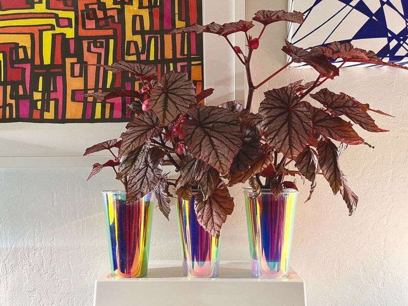 Neon Lights vs. Nature Vibes: The 2026 Home Decor Battle - Decor Hint Holographic Accessories Compete With Stone Elements