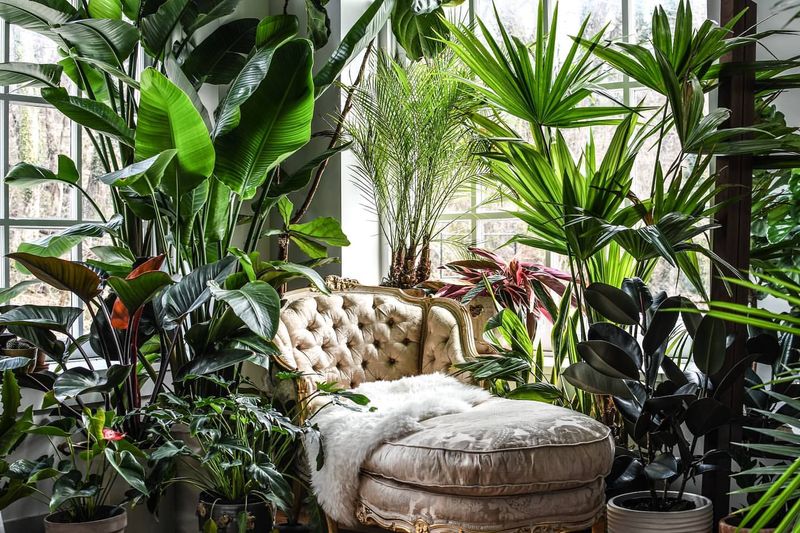 9 Simple Decor Ideas To Make Your Home More Stylish - Decor Hint Indoor Plants for Life and Color