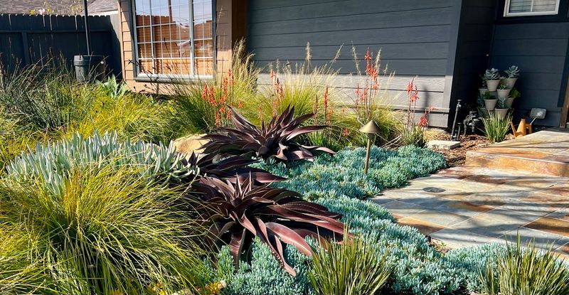 12 Effortlessly Cool Outdoor Spaces You'll Spot All Over California Neighborhoods - Decor Hint Succulent-Lined Front Yards