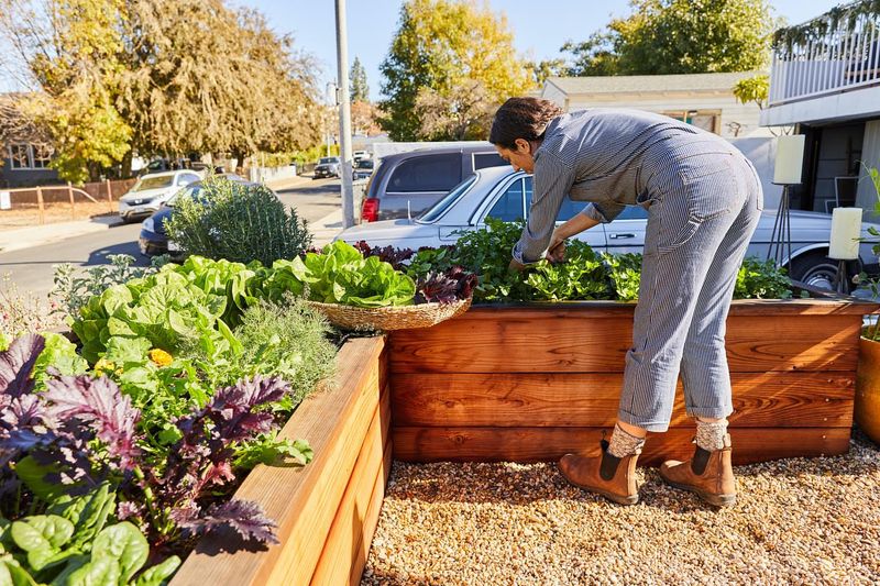 12 Effortlessly Cool Outdoor Spaces You'll Spot All Over California Neighborhoods - Decor Hint Edible Front Gardens