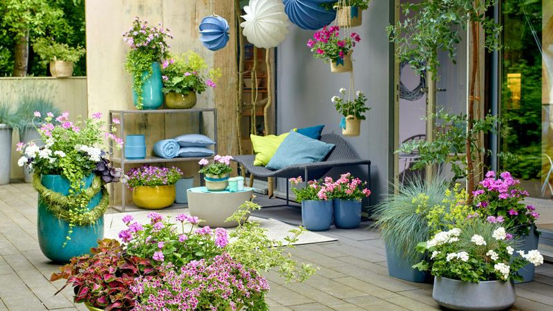Container Gardening Magic