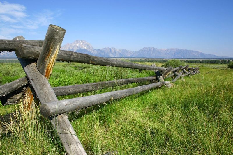 Rustic Split-Rail Fencing