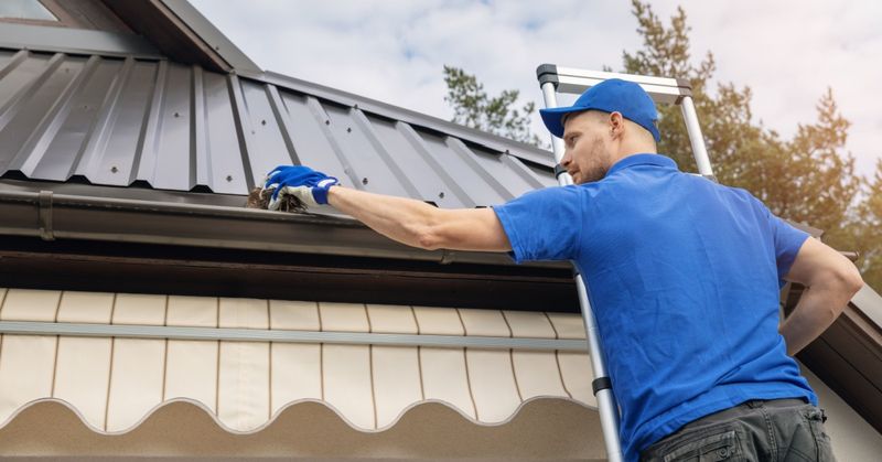 Cleaning Out Gutters (Don't Ignore)