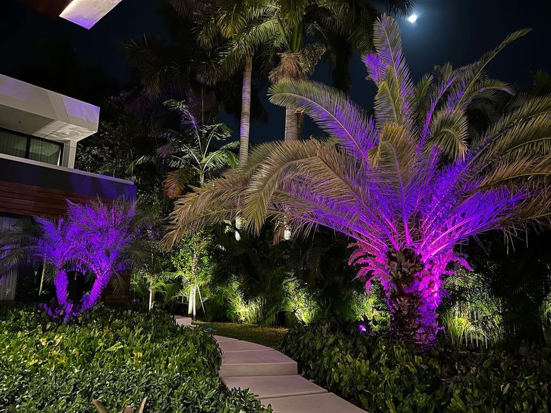 8 Backyard Design Moves That Make Florida Homes Feel Like Resorts - Decor Hint Install Dramatic Landscape Lighting