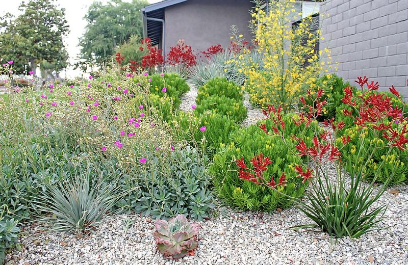 Drought-Tolerant Landscapes