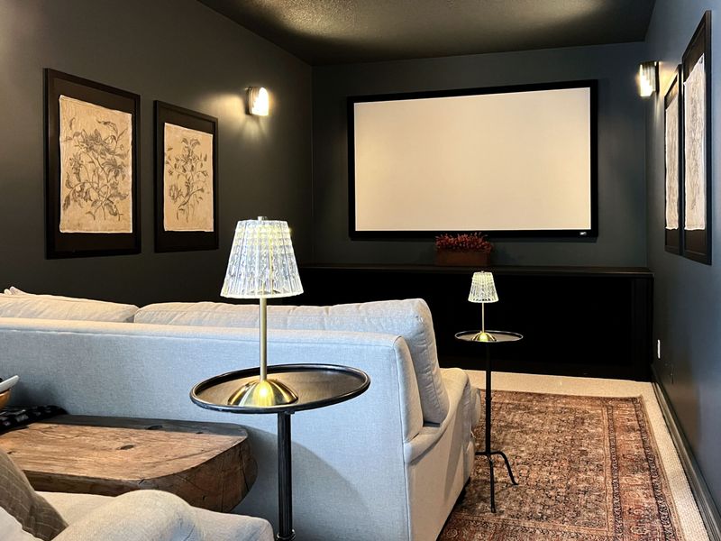 Media Rooms/Home Theaters