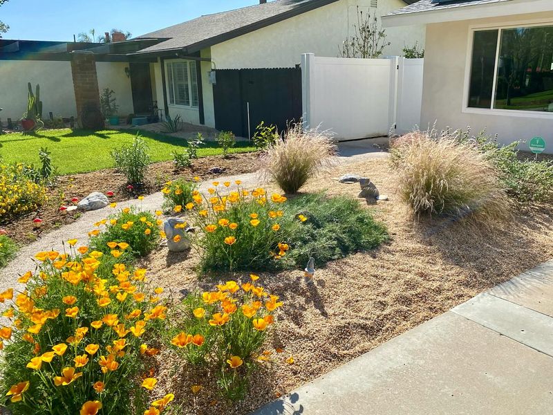 12 Coastal-Inspired Curb Appeal Ideas Seen In California Homes (And 3 That Are Losing Charm Fast) - Decor Hint Native Coastal Landscaping