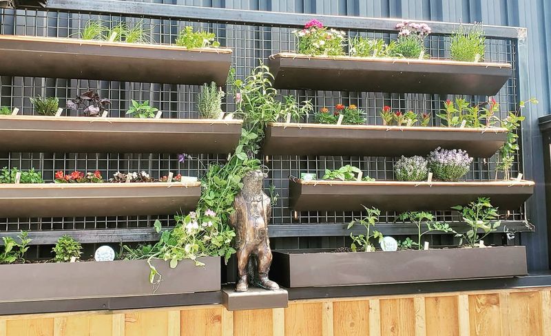 Vertical Garden Wall
