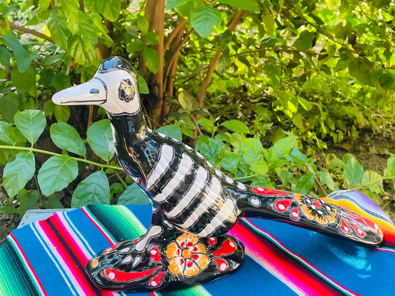 Boho Meets Desert With New Mexico Decor That Pops - Decor Hint Roadrunner Runway: Wildlife-Inspired Hallway Design