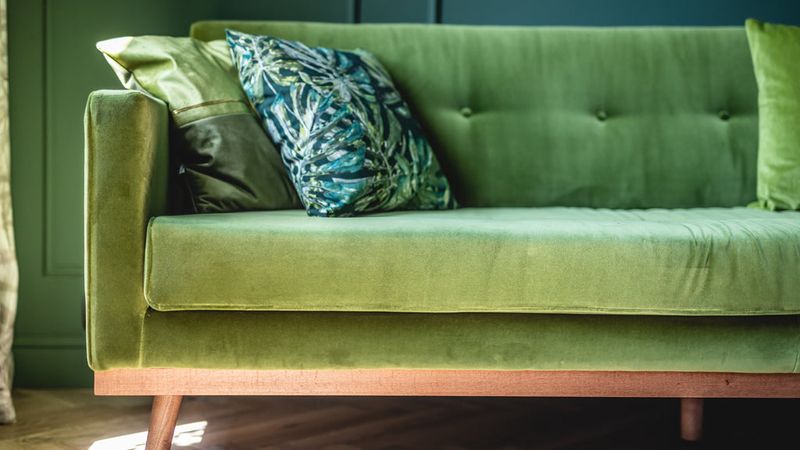 In My Experience, These 10 Sofa Colors Don't Work Well In Oregon Here's What Looks Fresh Instead - Decor Hint Olive Green: Muddies Our Indoor-Outdoor Connection
