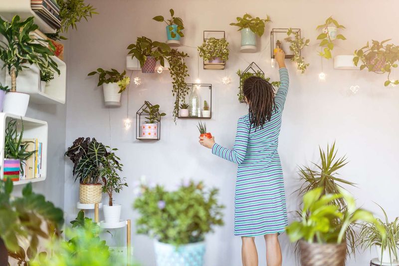 13 Things People With Nice-Smelling Homes Never Do According To Pros, Plus 9 Extra Ones People Usually Forget - Decor Hint Forget About Houseplant Maintenance