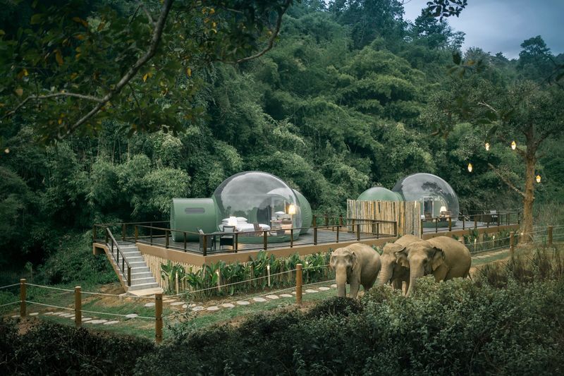 Thailand's Jungle Bubbles at Anantara Golden Triangle