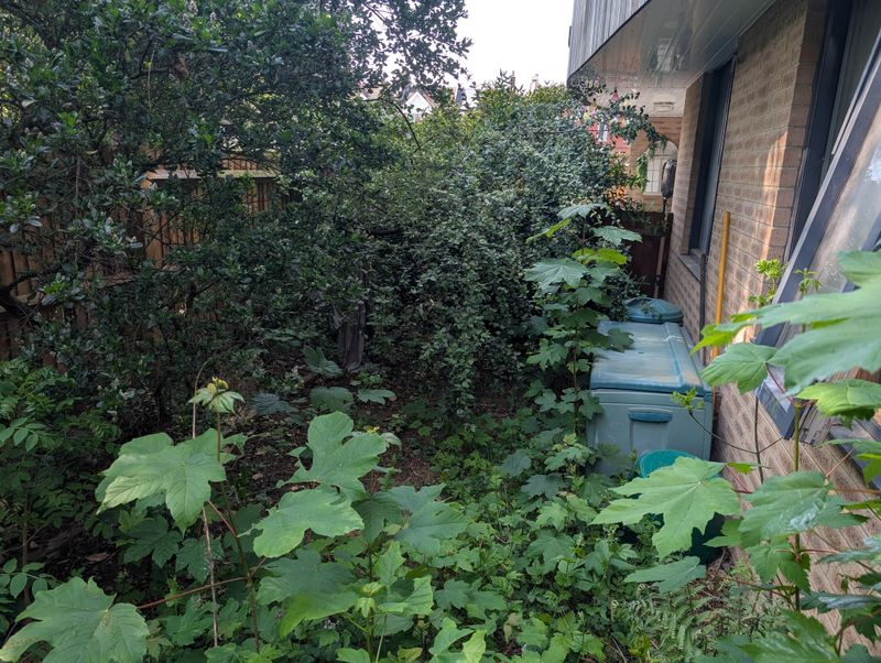 11 Backyard Features Devaluing Your Home And 11 That Will Add Value - Decor Hint Overgrown Landscaping