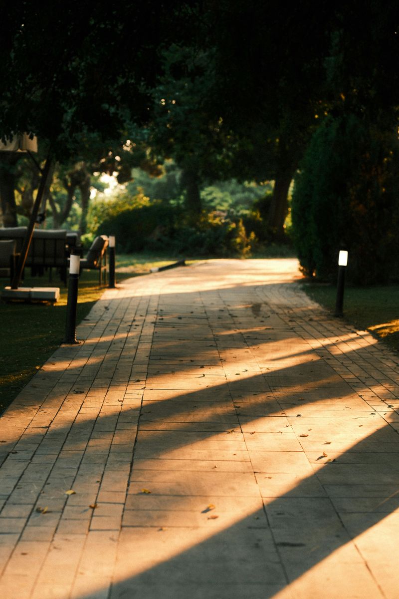 8 Landscaping Changes That Could Transform The Look Of Your Whole Property - Decor Hint Outdoor Lighting