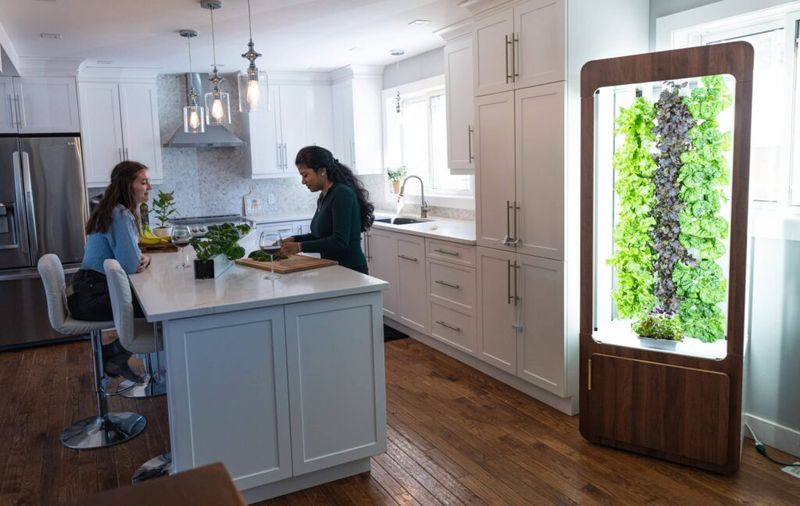 7 Kitchen Upgrades You'll See In Every Stylish Arizona Home This Year - Decor Hint Indoor Herb Gardens