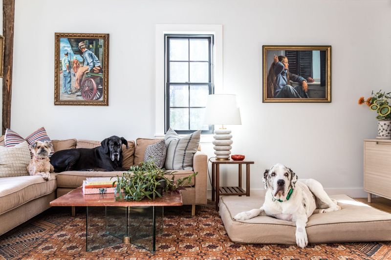 10 Common Staging Fails That Can Ruin First Impressions - And 5 That Shouldn't Exist - Decor Hint Visible Pet Evidence