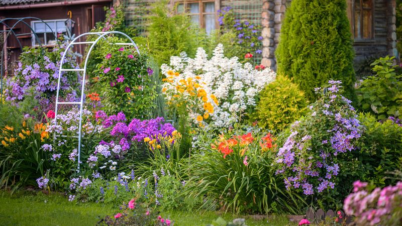 Bloomington Cottage Gardens